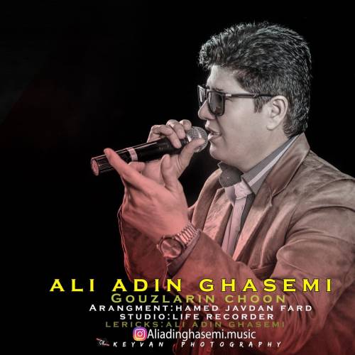 علی الدین قاسمی گوزلرین چون